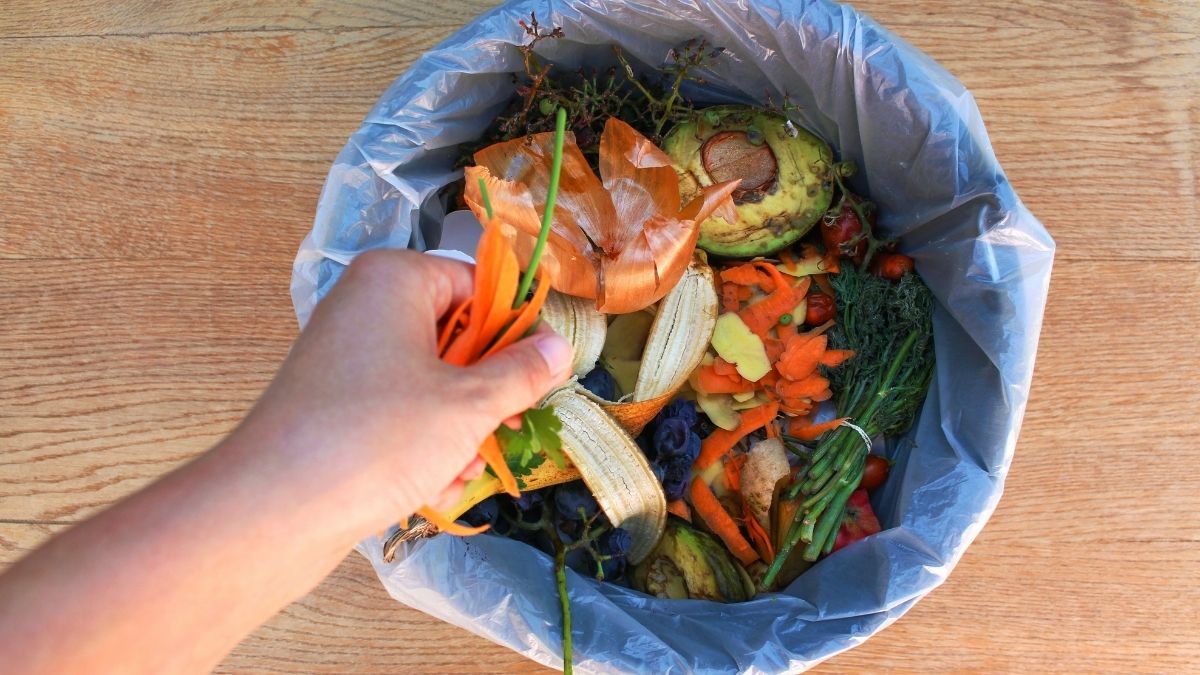 5 Tips to Reduce Food Waste